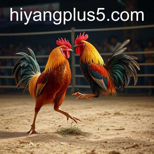 Exploring the Excitement of Online Sabong and the Role of Hiyang Plus